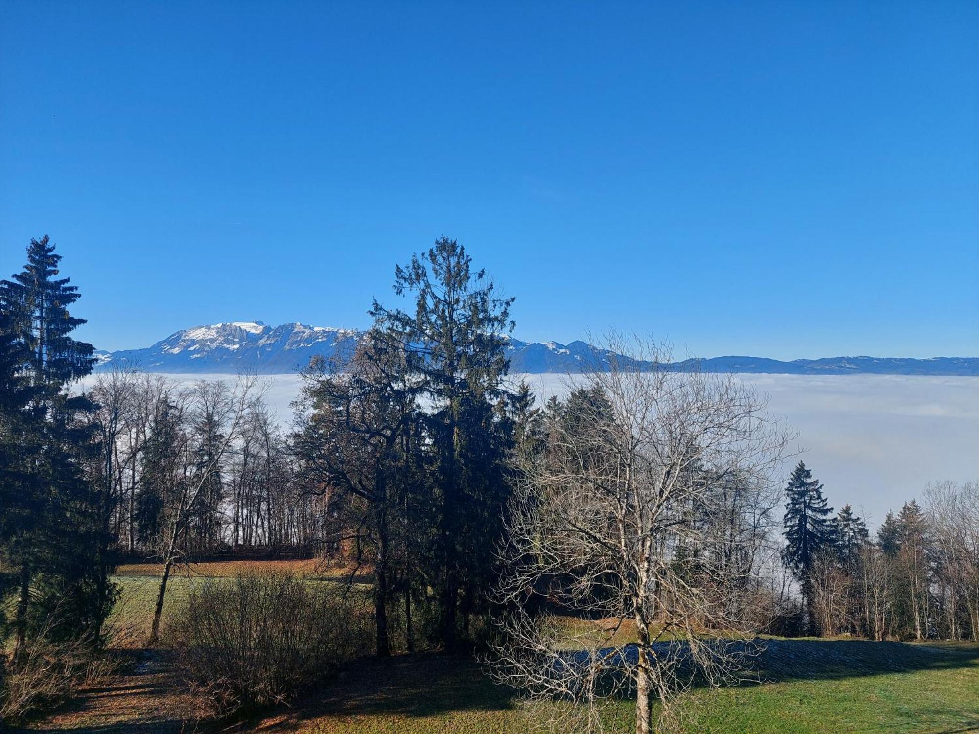 Gemuetliche Wohnung Mit Talblick Batschuns Buitenkant foto