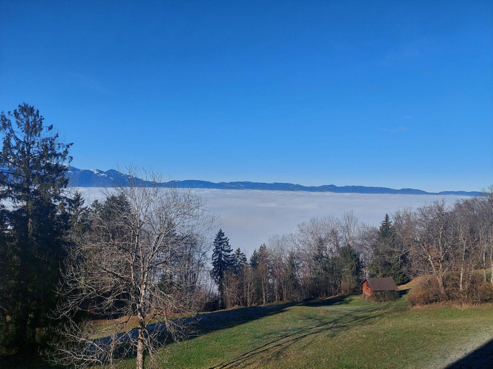 Gemuetliche Wohnung Mit Talblick Batschuns Buitenkant foto