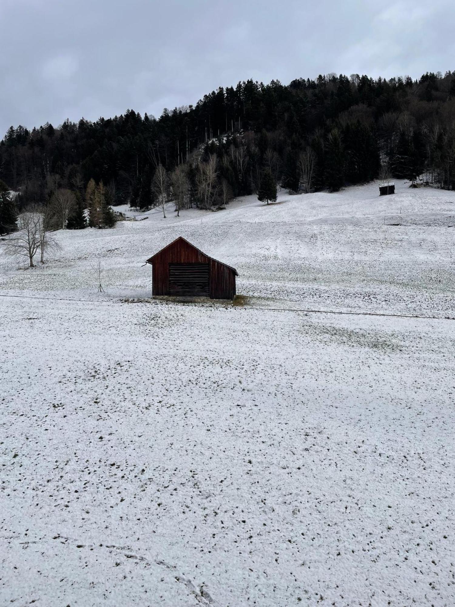 Gemuetliche Wohnung Mit Talblick Batschuns Buitenkant foto