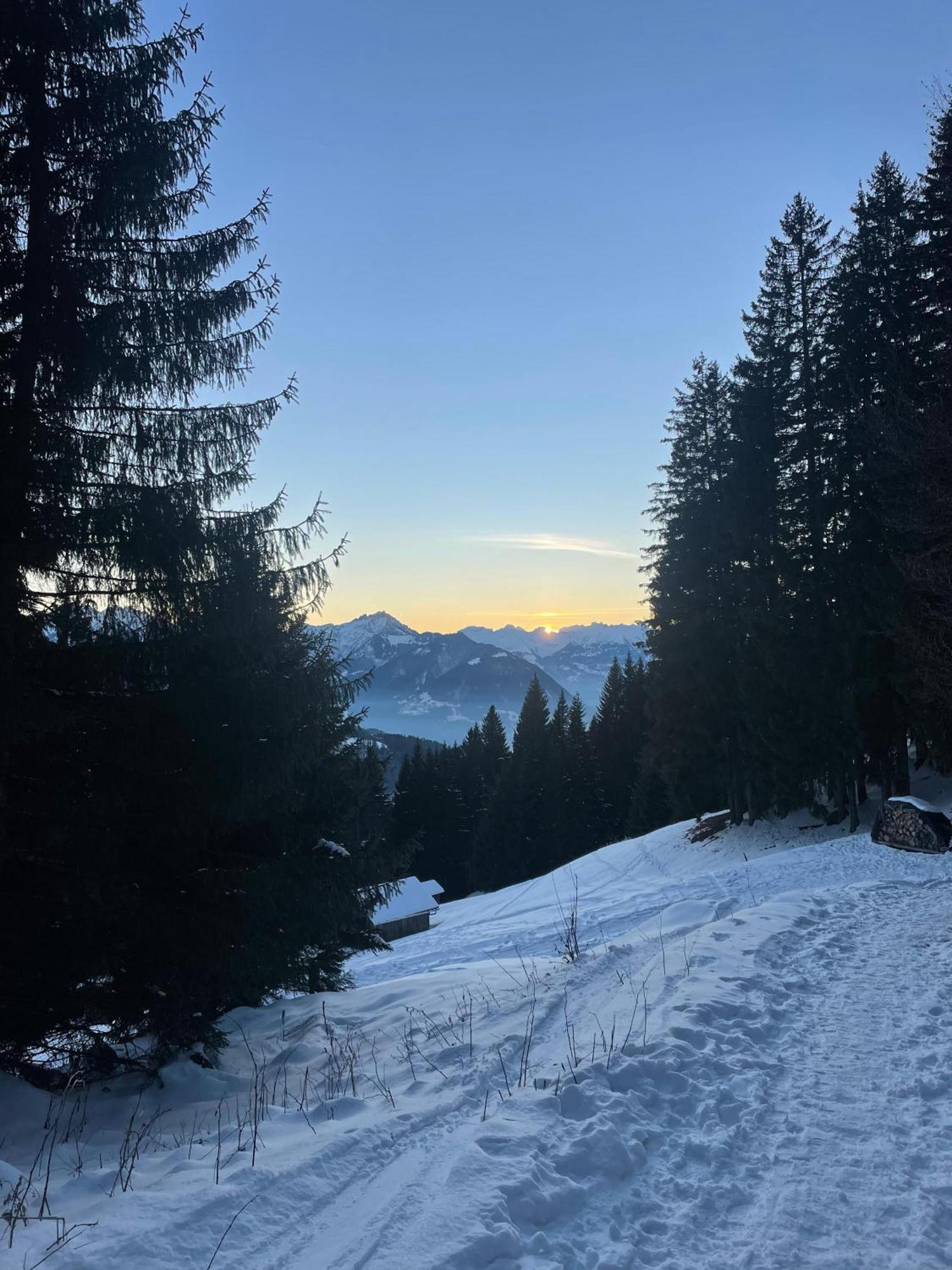 Gemuetliche Wohnung Mit Talblick Batschuns Buitenkant foto